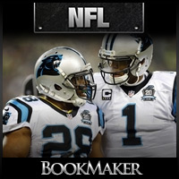 2015-Carolina-Panthers-Odds-and-Report-Betting-Lines