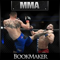 MMA-Open-2-bm-feb17