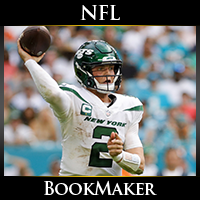 NFL Week 18 Ugly Dog Picks - Football Betting