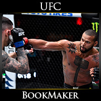 UFC Fight Night Thiago Santos vs. Johnny Walker