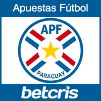 Seleccion de Paraguay en la Copa Mundial