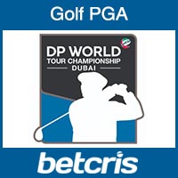 DP World Tour Championship Betting Odds