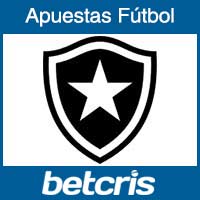 Fútbol Brasil - Botafogo