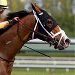 Quip Preakness Stakes Betting