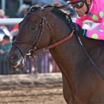 Sporting  Chance Preakness Stakes Betting