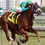 Gormley Belmont Stakes Betting Odds