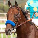 Always Dreaming Preakness Stakes Betting