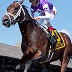 Laoban Preakness Stakes Betting