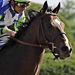 Classic Empire Preakness Stakes Betting