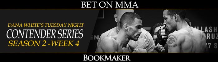 Betting On MMA at Bookmaker