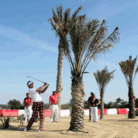 Abu Dhabi HSBC Championship Golf Betting
