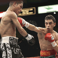 Fernando Montiel Vs Nonito Donaire Betting Odds Sportsbook Odds For All Boxing Matches