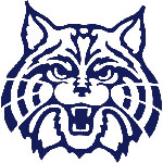 NCAA Football Arizona Wildcats Betting